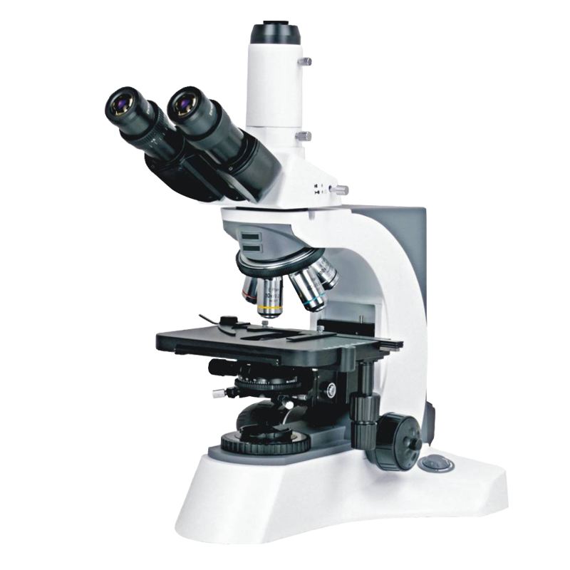 NSQ-800M实验室生物显微镜